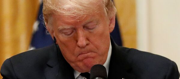 الرئيس الأمريكي دونالد ترامب - سبوتنيك عربي