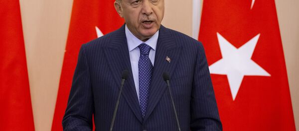 رئيس تركيا رجب طيب أردوغان خلا مؤتمر صحفي مع نظيره الروسي فلاديمير بوتين في سوتشي، روسيا 17 سبتمبر/ أيلول 2018 رئيس تركيا رجب طيب أردوغان خلا مؤتمر صحفي مع نظيره الروسي فلاديمير بوتين في سوتشي، روسيا 17 سبتمبر/ أيلول 2018 - سبوتنيك عربي