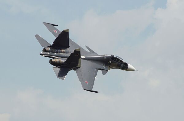 سو-30 إس أم - سبوتنيك عربي