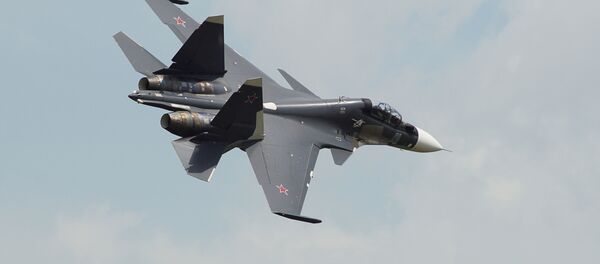 سو-30 إس أم - سبوتنيك عربي