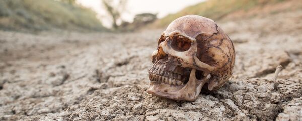 جمجمة على أرض قاحلة - سبوتنيك عربي