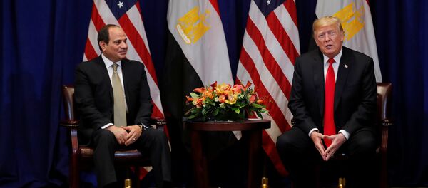 السيسي وترامب السيسي وترامب - سبوتنيك عربي