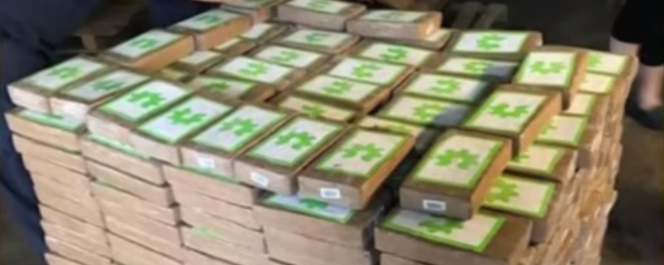 كوكايين - سبوتنيك عربي