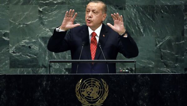 ألرئيس التركي رجب طيب أردوغان أثناء الخطاب أمام جمعية الأمم المتحدة، نيويورك 25 سبتمبر/ أيلول 2018 - سبوتنيك عربي