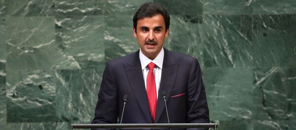 أمير قطر الشيخ تميم بن حمد آل ثاني - سبوتنيك عربي