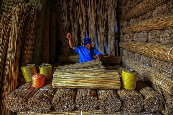 Снимок Bulrush турецкого фотографа Ümmü Kandilcioğlu, победившего в номинации Suصورة بعنوان نبات البردي للمصور التركي أومو كانديلتشيوغلو، الفائز بجائزة بين المرشحين في فئة الاستدامة في الممارسةstainability in Practice Prize фотоконкурса Environmental Photographer of the Year 2018 - سبوتنيك عربي