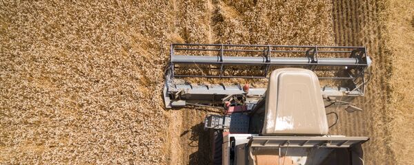 روسيا: حصاد محصول القمح - سبوتنيك عربي