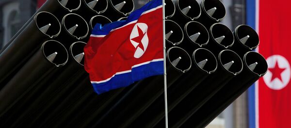 كوريا الشمالية - سبوتنيك عربي