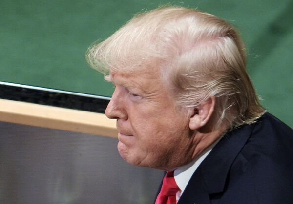 الرئيس الأمريكي دونالد ترامب الرئيس الأمريكي دونالد ترامب - سبوتنيك عربي