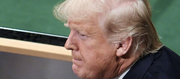 الرئيس الأمريكي دونالد ترامب - سبوتنيك عربي