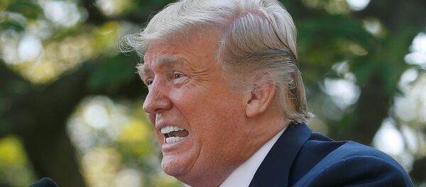 الرئيس الأمريكي دونالد ترامب - سبوتنيك عربي