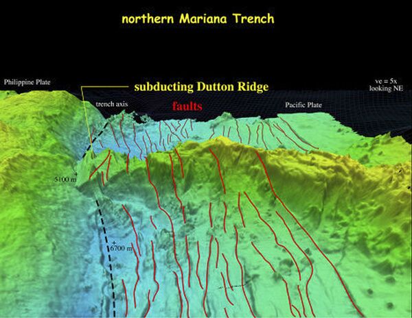 وحوش تعيش في أعمق نقطة على سطح الأرض... صور - سبوتنيك عربي