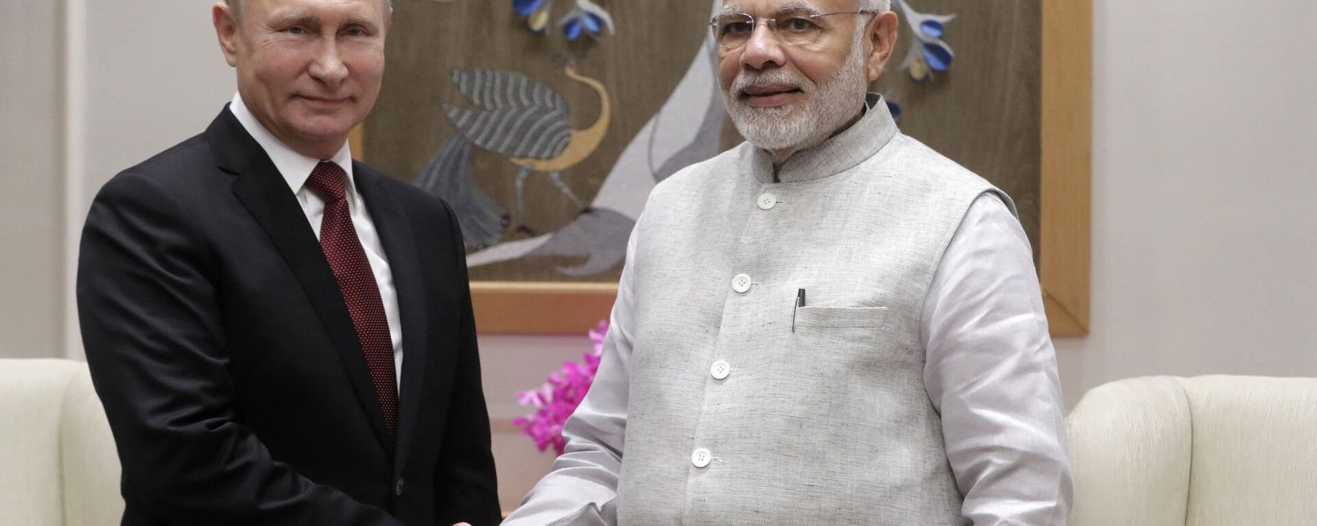 زيارة بوتين الرسمية إلى الهند ولقائه رئيس الوزراء ناريدا مودي - سبوتنيك عربي, 1920, 30.06.2023