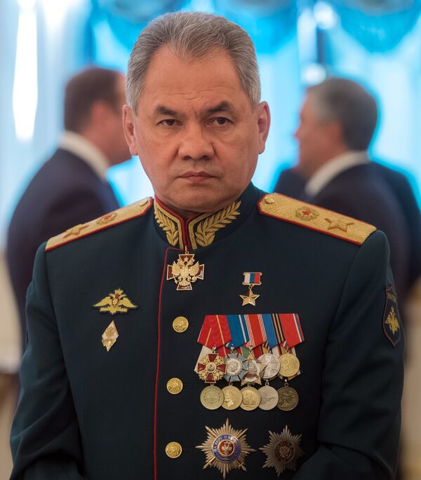 وزير الدفاع الروسي سيرغي شويغو - سبوتنيك عربي