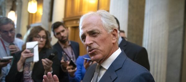 رئيس لجنة العلاقات الخارجية في مجلس الشيوخ الأمريكي - سبوتنيك عربي