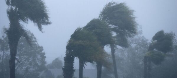 إعصار مايكل في سيتي بيتش، فلوريدا، الولايات المتحدة 10 أكتوبر/ تشرين الأول 2018 - سبوتنيك عربي