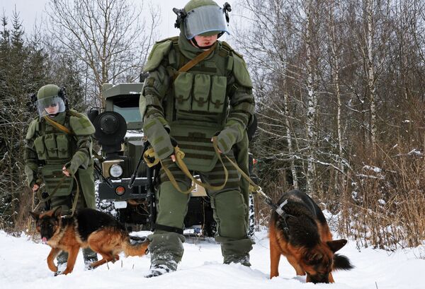 تدريب الكلاب على البحث عن المتفجرات تدريب الكلاب على البحث عن المتفجرات - سبوتنيك عربي