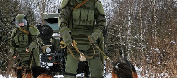 تدريب الكلاب على البحث عن المتفجرات - سبوتنيك عربي