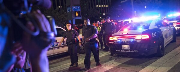 الشرطة الأمريكية - سبوتنيك عربي