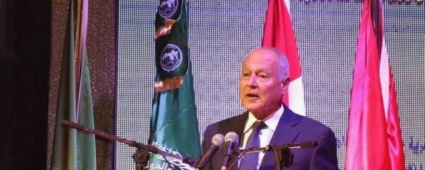 أحمد أبو الغيط - سبوتنيك عربي