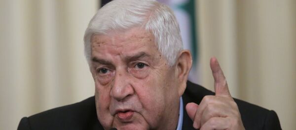 وليد المعلم - سبوتنيك عربي