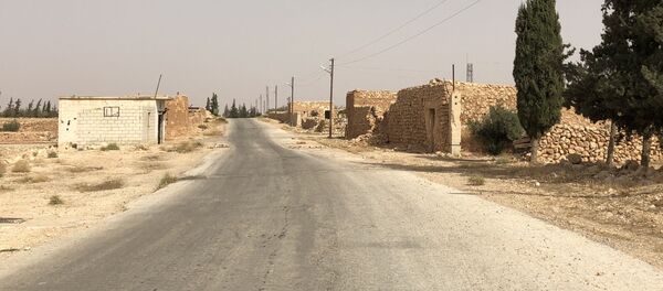 حماة، سوريا - سبوتنيك عربي