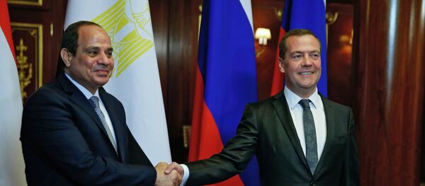 رئيس الوزراء الروسي دميتري مدفيديف خلال لقائه الرئيس المصري عبد الفتاح السيسي - سبوتنيك عربي