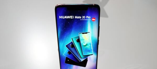 هواوي ميت 20 برو - سبوتنيك عربي