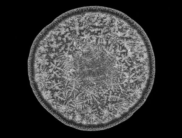 صورة دمعة إنسان، للمصور نورم باركر، الحائزة على المرتبة الـ 7 في المسابقة - سبوتنيك عربي