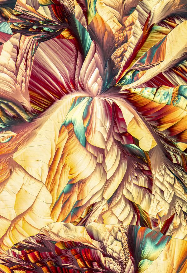 صورة الأحماض الأمينية ل- غلوتامين وبيتا ألانين، للمصور جاستن زول، الحائزة على المرتبة الـ 18 في المسابقة - سبوتنيك عربي