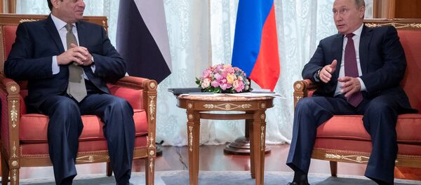 الرئيس الروسي فلاديمير بوتين يلتقي مع نظيره المصري عبدالفتاح السيسي في سوتشي، 17 أكتوبر/ تشرين الأول 2018 - سبوتنيك عربي