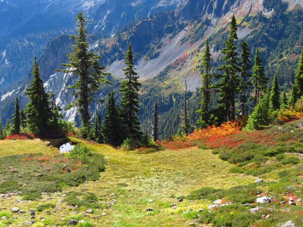 منظر خريفي في حديقة أرتيست بوينت واشنطن، الولايات المتحدة - سبوتنيك عربي