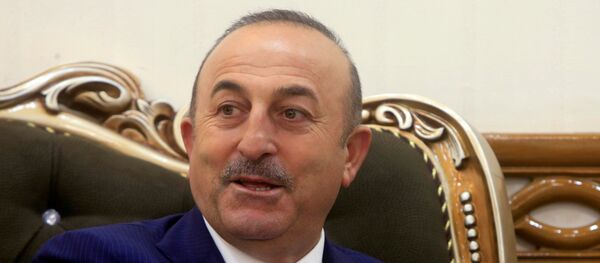 وزير الخارجية التركية مولود جاويش أوغلو - سبوتنيك عربي