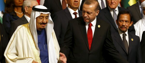 أردوغان وسلمان أردوغان وسلمان - سبوتنيك عربي