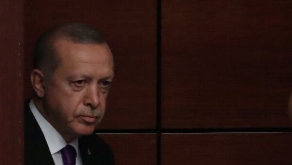 أردوغان - سبوتنيك عربي