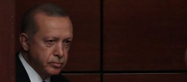 أردوغان - سبوتنيك عربي