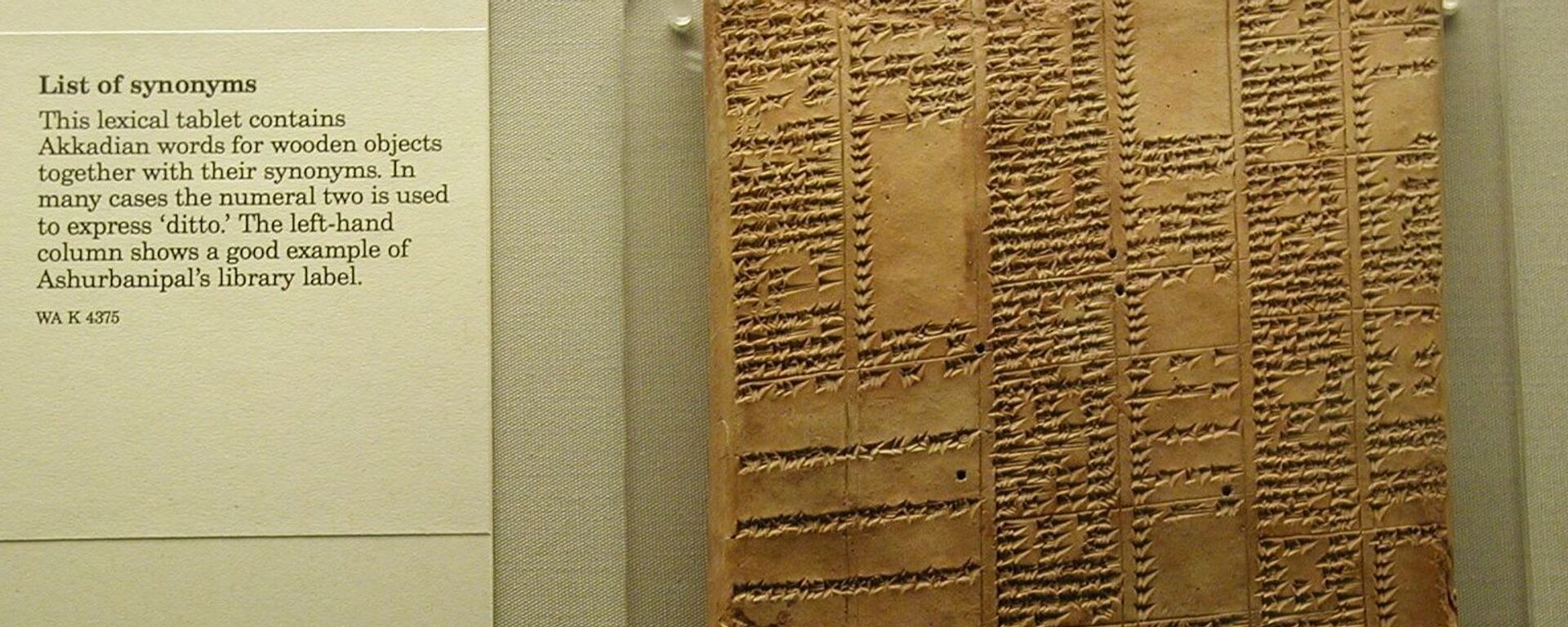 قرص مسماري مع قائمة الموز التي ترمز إلى الكلمات المرادفة من مكتبة آشور بانيبال الملكية في المتحف البريطاني - سبوتنيك عربي, 1920, 20.05.2024