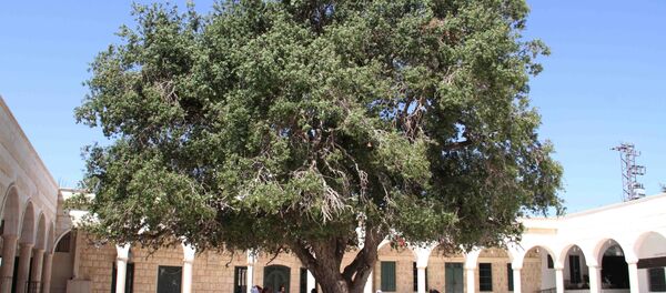 قبر جدّنا هابيل بن آدم قرب دمشق - سبوتنيك عربي