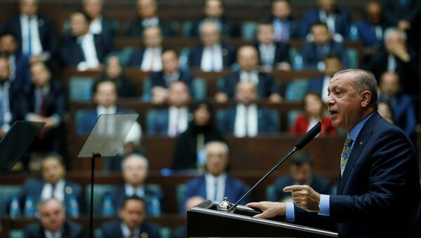 الرئيس رجب طيب أردوغان  - سبوتنيك عربي