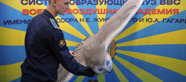 بومة حربية  في معرض إنتربوليتك-2018 - سبوتنيك عربي