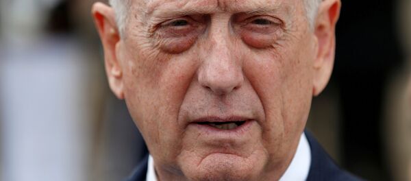 وزير الدفاع الأمريكي جيم ماتيس - سبوتنيك عربي