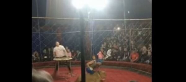 سيرك - سبوتنيك عربي