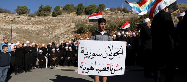 احتجاجات في هضبة الجولان - سبوتنيك عربي