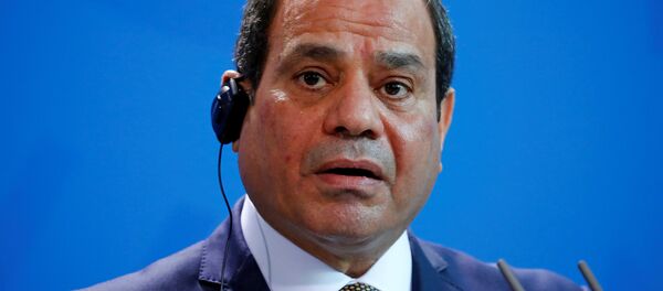 الرئيس المصري عبدالفتاح السيسي في برلين، ألمانيا 30 أكتوبر/ تشرين الأول 2018 - سبوتنيك عربي