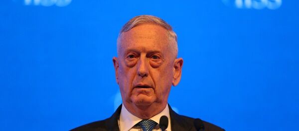 وزير الدفاع الأمريكي جيمس ماتيس - سبوتنيك عربي