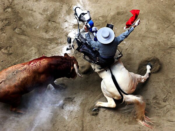 صورة بعنوان Matador de Toros، للمصور لويس هنري أغوديلو كانو، الحاصل على المرتبة الثانية ف فئة الرياضات - سبوتنيك عربي