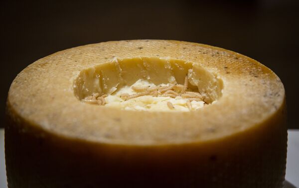 طبق إيطالي - جبنة كاسو مارزو، وهي جبنة فاسدة طبق إيطالي - جبنة كاسو مارزو، وهي جبنة فاسدة - سبوتنيك عربي