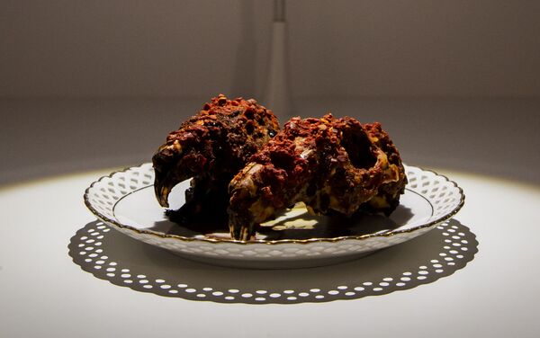 طبق صيني - رؤوس أرانب بالبهارات الحارة طبق صيني - رؤوس أرانب بالبهارات الحارة - سبوتنيك عربي