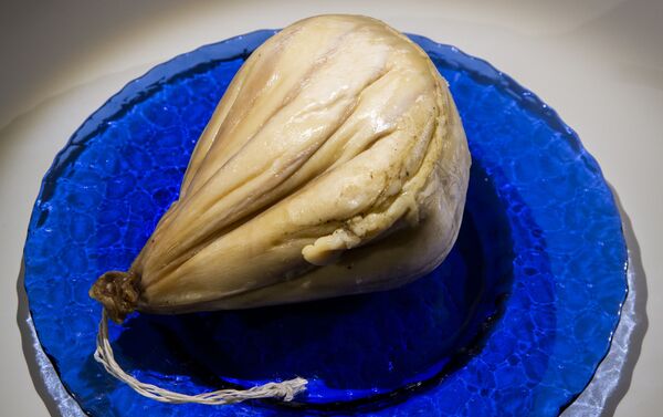 جبنة سو كالو ساردو جبنة سو كالو ساردو - سبوتنيك عربي