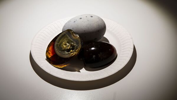 وجبة خفيفة في المطبخ الصيني بيضة عمرها 100 عام وجبة خفيفة في المطبخ الصيني بيضة عمرها 100 عام - سبوتنيك عربي